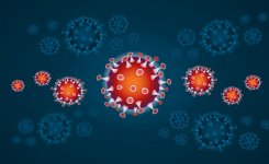SAFETY ALERT #2020-002 Coronavirus Information (2019-nCov)